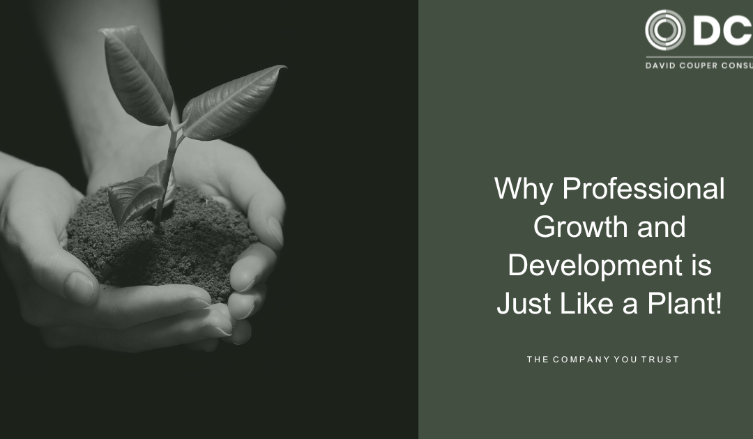 Why Professional Growth and Development is Just Like a Plant!